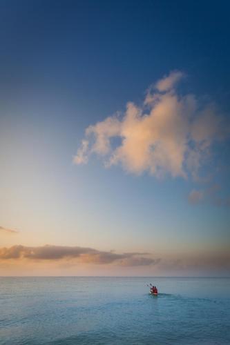 Hotel Turtle Bay Beach Club