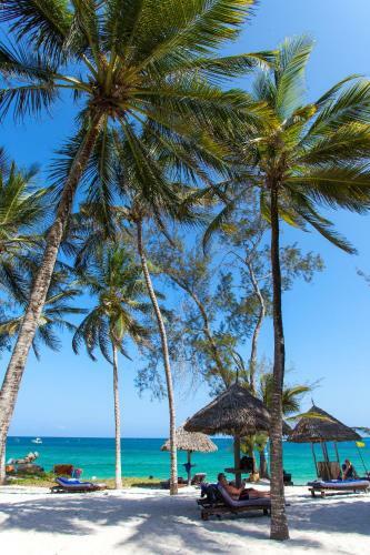 Hotel Turtle Bay Beach Club