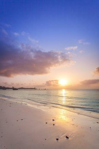 Hotel Turtle Bay Beach Club