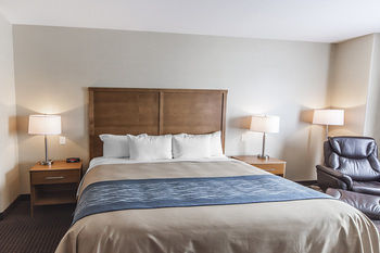 Hotel Comfort Inn & Suites