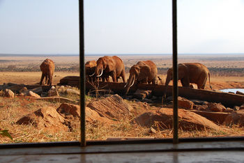 Posada Voi Safari Lodge