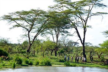 Posada Voyager Ziwani Tented Camp