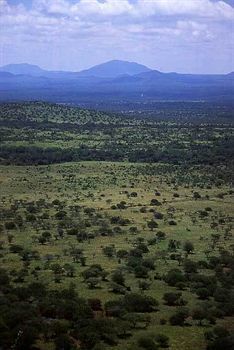 Posada Voyager Ziwani Tented Camp