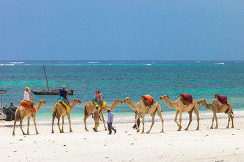 Hotel The Sands At Nomad