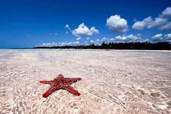 Hotel Neptune Paradise Beach Resort & Spa All Inclusive