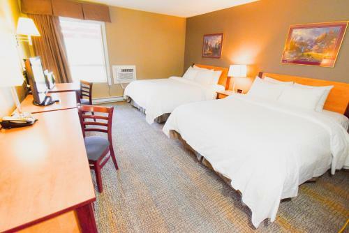 Hotel Canad Inns Destination Centre Windsor Park