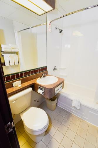 Hotel Canad Inns Destination Centre Windsor Park