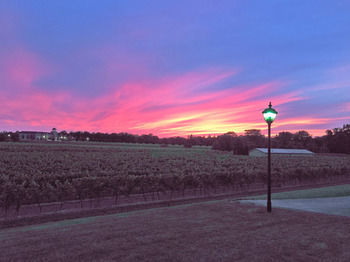 Aparthotel Riverbend Inn And Vineyard
