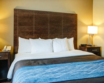 Hotel Comfort Inn Bryant