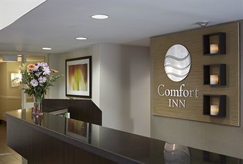 Hotel Comfort Inn Prince Albert
