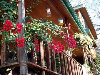 Hotel Bellevue Guesthouse