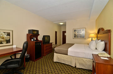 Hotel Best Western Plus Oak Mountain Inn