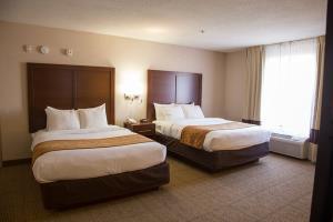 Hotel Comfort Suites Fultondale