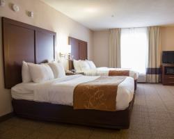 Hotel Comfort Suites Fultondale