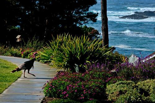 Bed & Breakfast Cottages At Little River Cove