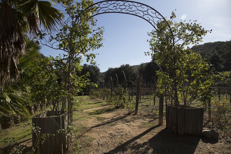 Hotel Vineyard Hacienda