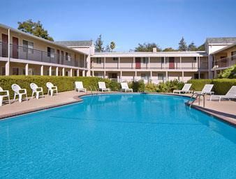 Super 8 Motel - San Jose Airport/convention Ctr. Area