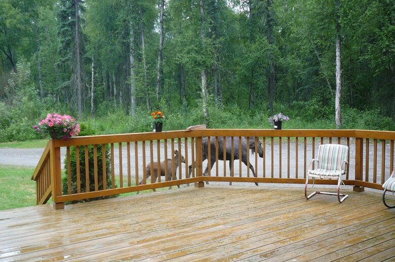 Bed & Breakfast Meandering Moose Lodging