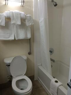 Best Western Mulberry Hotel
