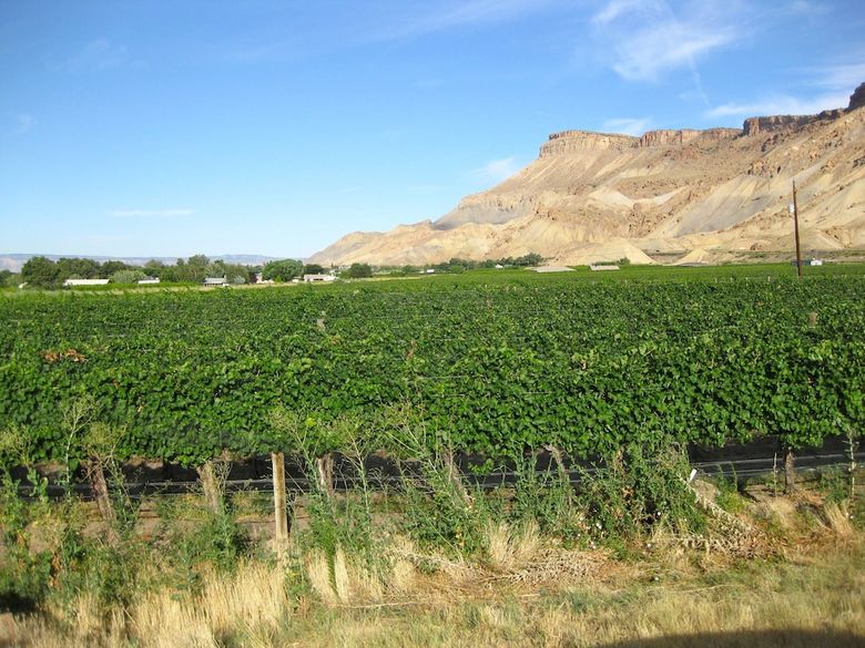Hotel Wine Country Inn Palisade