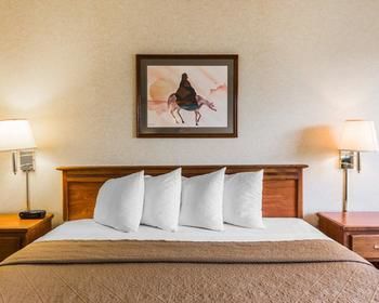 Hotel Quality Inn And Suites