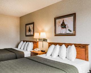 Hotel Quality Inn And Suites