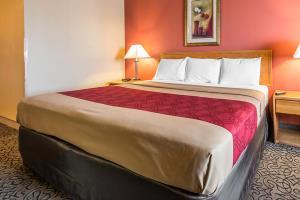 Motel Econo Lodge Brush
