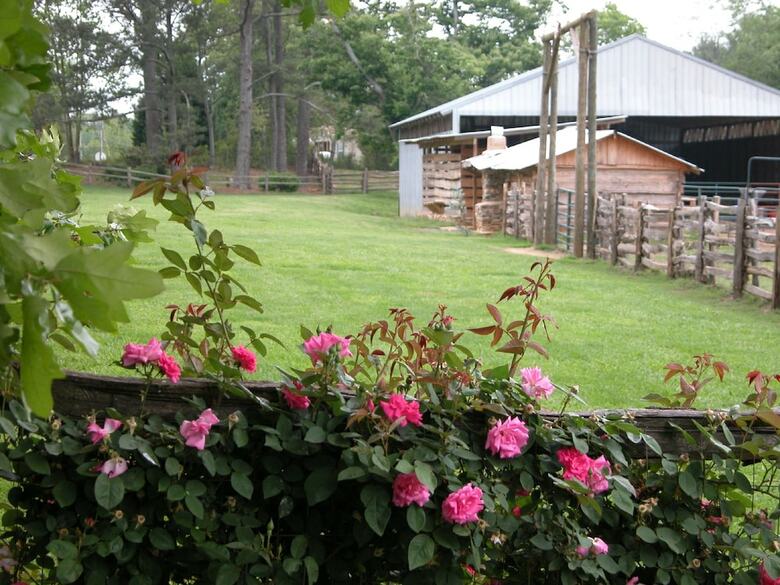 Bed & Breakfast Seventy-four Ranch