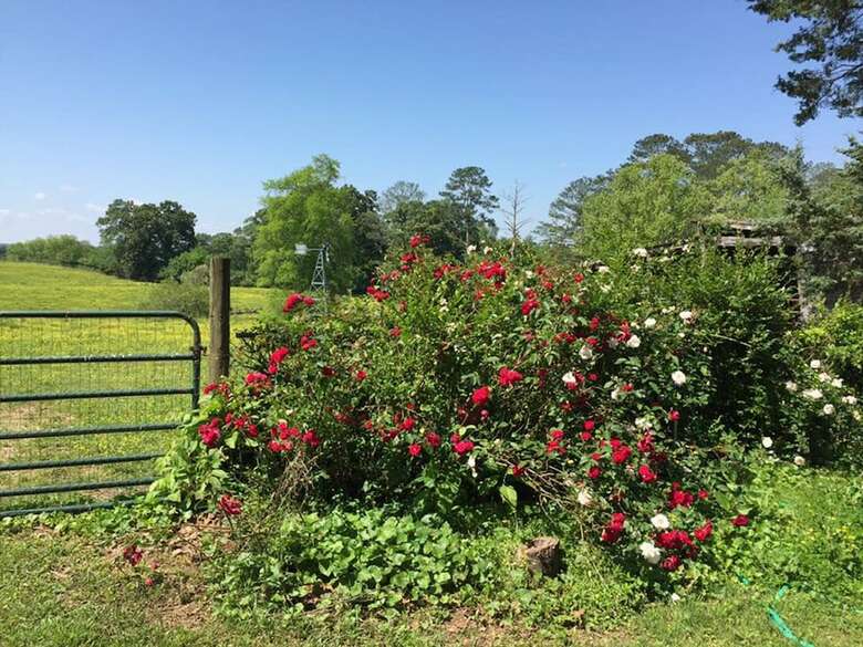 Bed & Breakfast Seventy-four Ranch