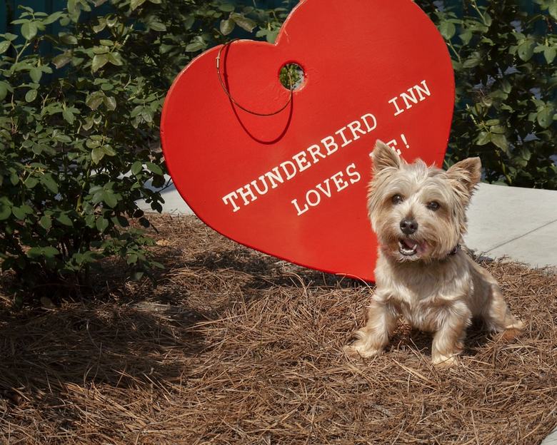 Hotel Thunderbird Inn