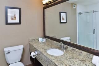 Hotel Comfort Suites Springfield