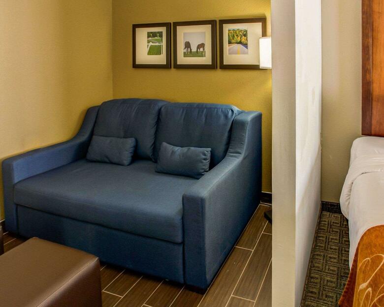 Hotel Comfort Suites