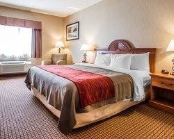 Hotel Comfort Inn Sidney