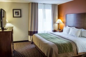 Hotel Comfort Inn