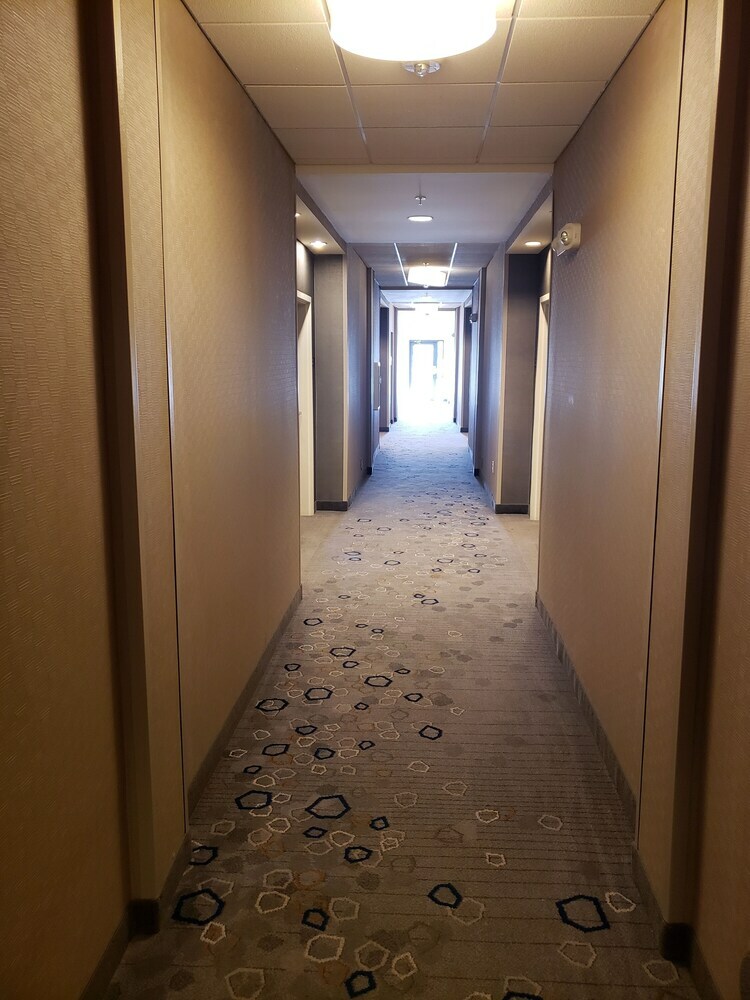 Hotel Courtyard Jacksonville
