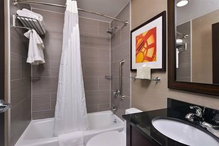 Hotel Holiday Inn Staten Island
