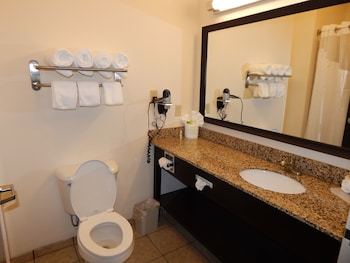 Hotel Holiday Inn Express & Suites Washington - Meadow Lands