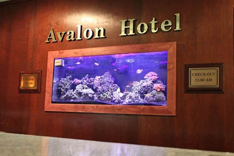 Avalon Hotel & Conference Center