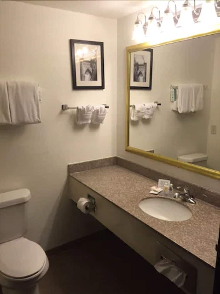 Hotel Comfort Inn & Suites Texas Hill Country