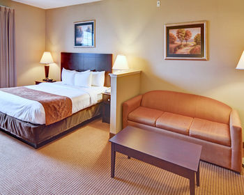 Hotel Comfort Suites Near Alliance