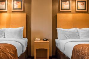Hotel Comfort Suites Monroeville