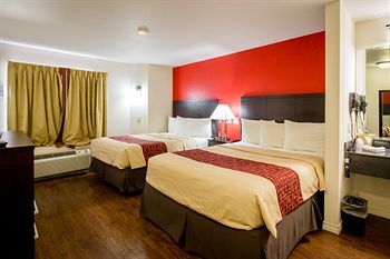 Motel Red Roof Inn Austin - Round Rock
