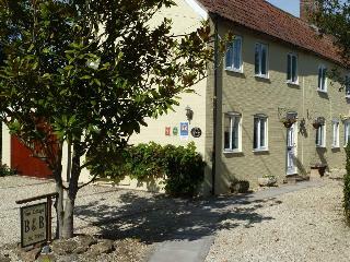 Vine Cottage B&B