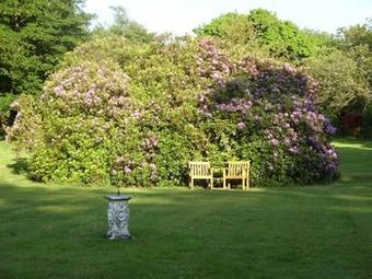 Moorlands - Bed And Breakfast