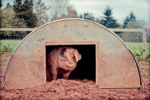 Agroturismo Huntstile Organic Farm