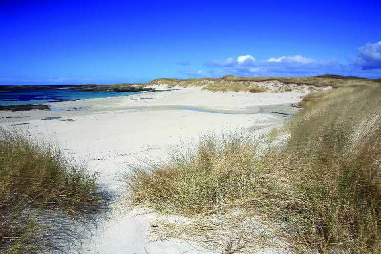 Hotel Camber Sands Holiday Park