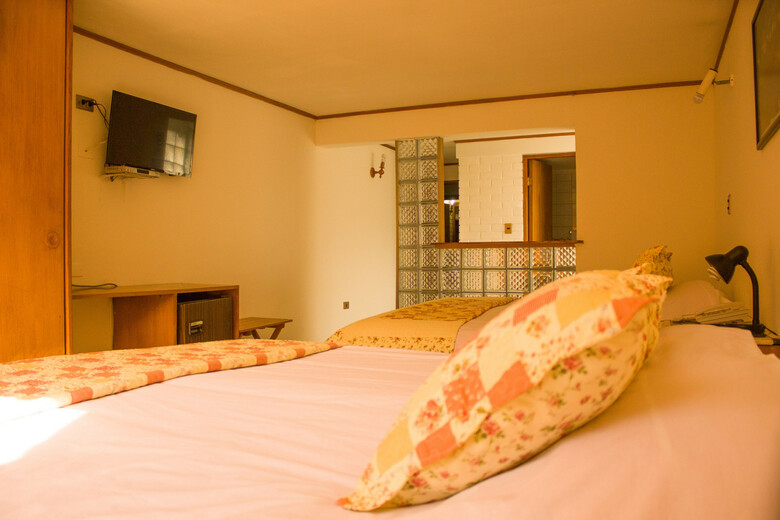 Hotel Windsor Suites