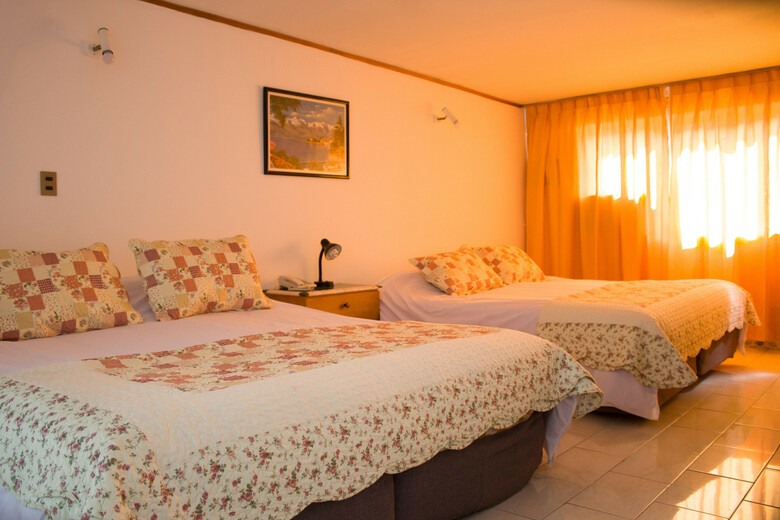 Hotel Windsor Suites
