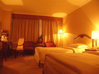 Hotel Asia Pacific Garden