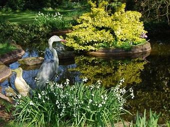 Bed & Breakfast Langaller Manor House